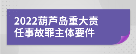 2022葫芦岛重大责任事故罪主体要件