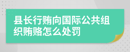 县长行贿向国际公共组织贿赂怎么处罚