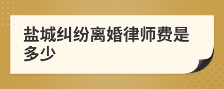 盐城纠纷离婚律师费是多少