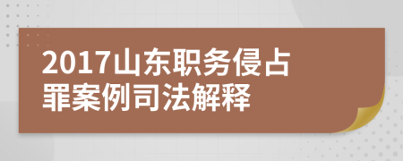 2017山东职务侵占罪案例司法解释