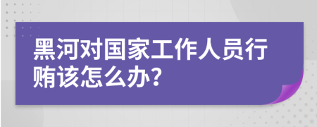 黑河对国家工作人员行贿该怎么办？