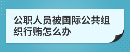 公职人员被国际公共组织行贿怎么办