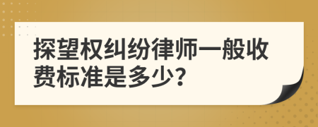 探望权纠纷律师一般收费标准是多少？