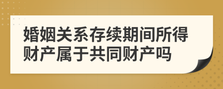 婚姻关系存续期间所得财产属于共同财产吗