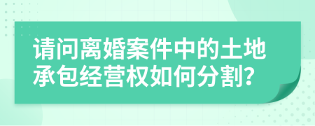 请问离婚案件中的土地承包经营权如何分割？