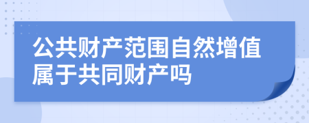 公共财产范围自然增值属于共同财产吗