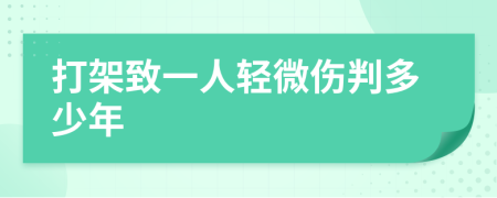 打架致一人轻微伤判多少年