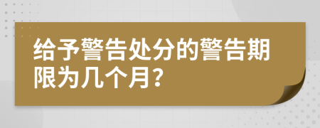 给予警告处分的警告期限为几个月？