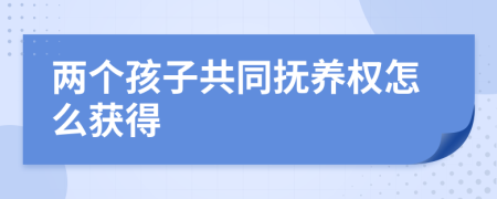 两个孩子共同抚养权怎么获得