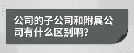 公司的子公司和附属公司有什么区别啊？