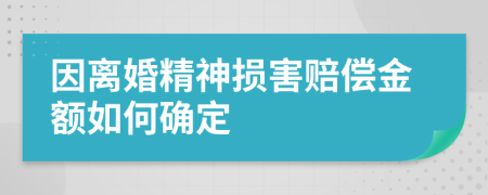 因离婚精神损害赔偿金额如何确定