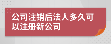 公司注销后法人多久可以注册新公司