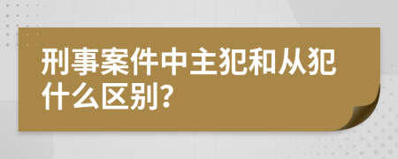 刑事案件中主犯和从犯什么区别？