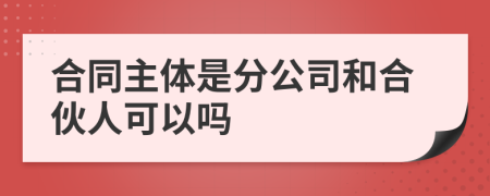 合同主体是分公司和合伙人可以吗