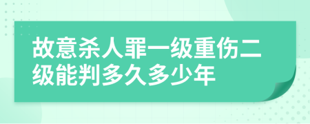 故意杀人罪一级重伤二级能判多久多少年