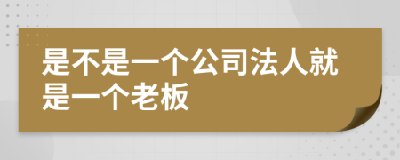 是不是一个公司法人就是一个老板