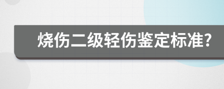 烧伤二级轻伤鉴定标准?