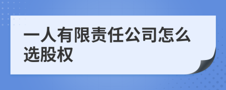 一人有限责任公司怎么选股权