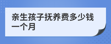 亲生孩子抚养费多少钱一个月