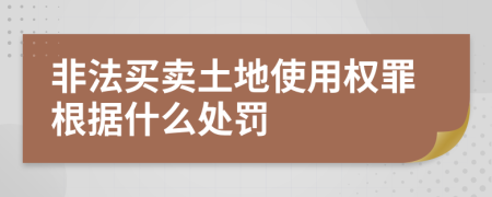 非法买卖土地使用权罪根据什么处罚