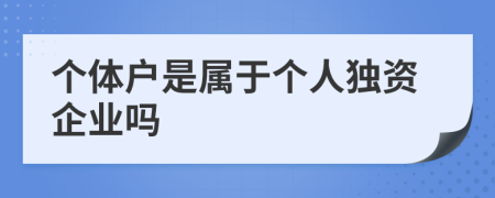 个体户是属于个人独资企业吗