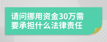 请问挪用资金30万需要承担什么法律责任