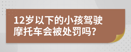 12岁以下的小孩驾驶摩托车会被处罚吗？