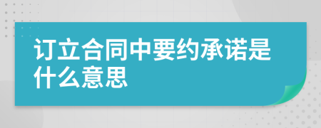 订立合同中要约承诺是什么意思