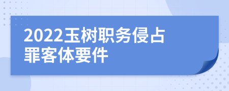 2022玉树职务侵占罪客体要件