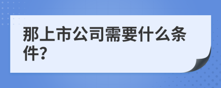 那上市公司需要什么条件？