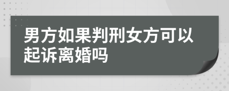 男方如果判刑女方可以起诉离婚吗