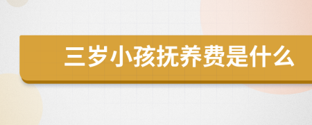三岁小孩抚养费是什么