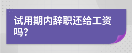 试用期内辞职还给工资吗？
