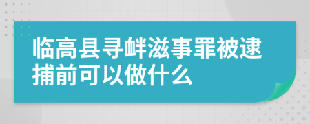 临高县寻衅滋事罪被逮捕前可以做什么