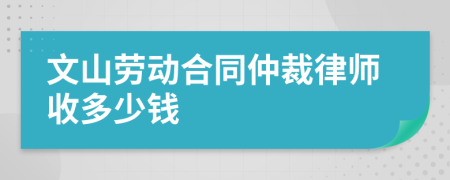 文山劳动合同仲裁律师收多少钱