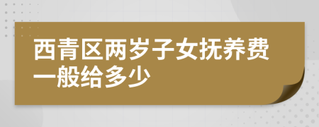 西青区两岁子女抚养费一般给多少