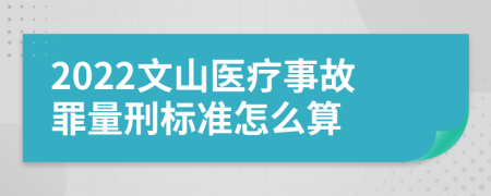 2022文山医疗事故罪量刑标准怎么算