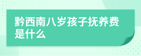 黔西南八岁孩子抚养费是什么