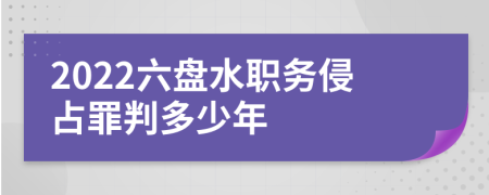 2022六盘水职务侵占罪判多少年