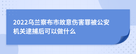 2022乌兰察布市故意伤害罪被公安机关逮捕后可以做什么