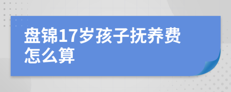 盘锦17岁孩子抚养费怎么算