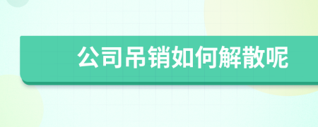 公司吊销如何解散呢