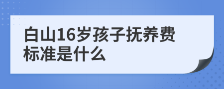 白山16岁孩子抚养费标准是什么