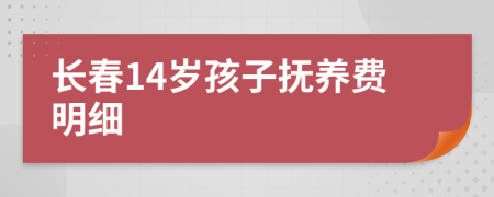 长春14岁孩子抚养费明细