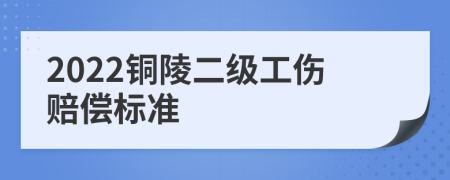 2022铜陵二级工伤赔偿标准