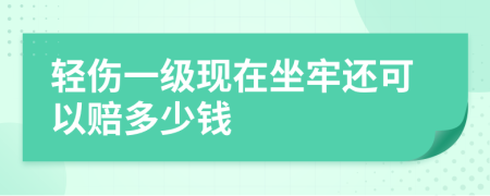 轻伤一级现在坐牢还可以赔多少钱