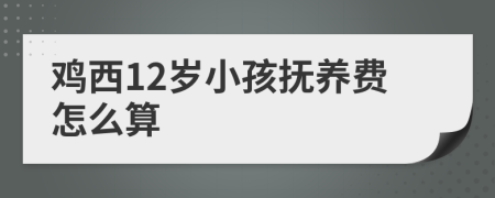 鸡西12岁小孩抚养费怎么算