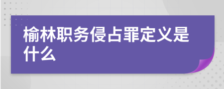 榆林职务侵占罪定义是什么