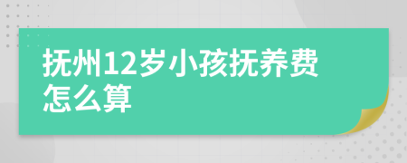 抚州12岁小孩抚养费怎么算
