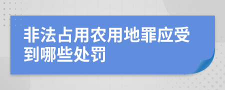 非法占用农用地罪应受到哪些处罚